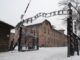 Auschwitz, visita al horror que no debe repetirse
