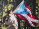 Bad Bunny, el rey
